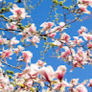 Meet your Posher, Foteini